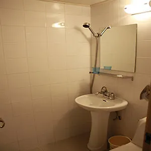Blooming House 3*